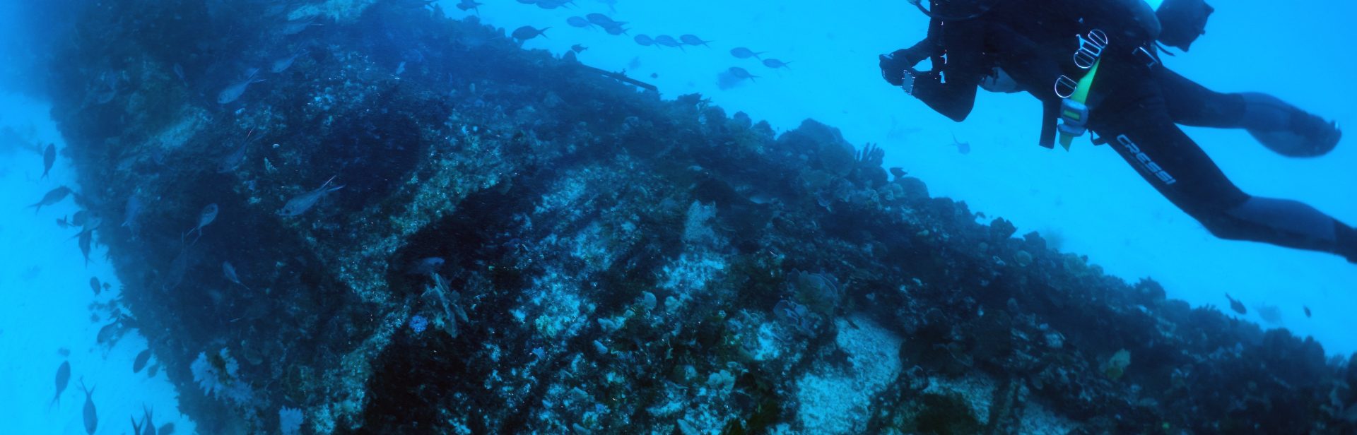 A technical diver from WreckSploration team investigates a wreck site in the Rottnest Deepwater Graveyard off the Western Australian coast.