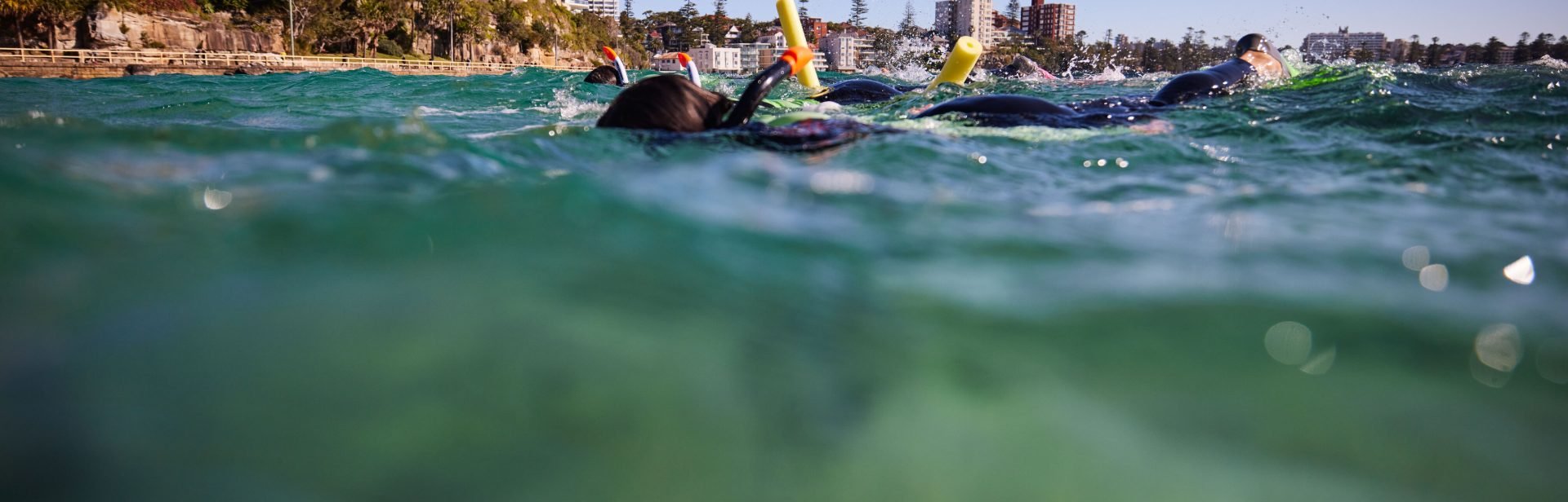 Ecotreasures Manly Snorkel tour