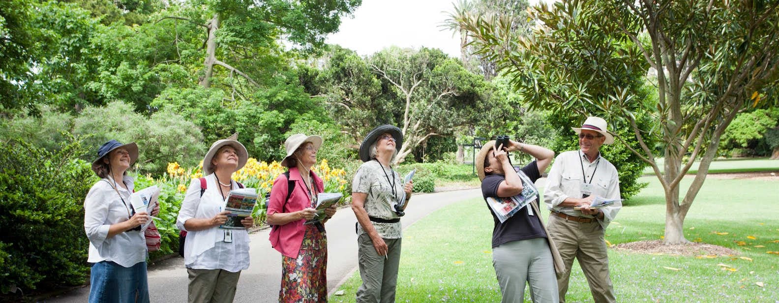 Guided walks