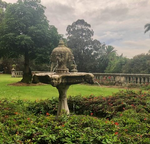 feature image