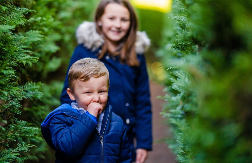 Solve the riddle of the hedge maze at Harper's Mansion