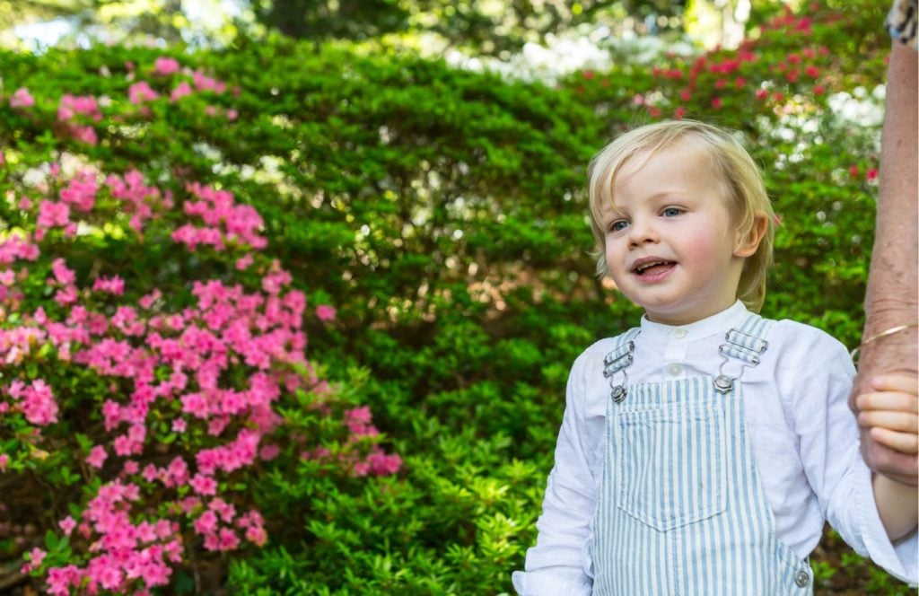 A young boy in striped overalls in flowering gardens.