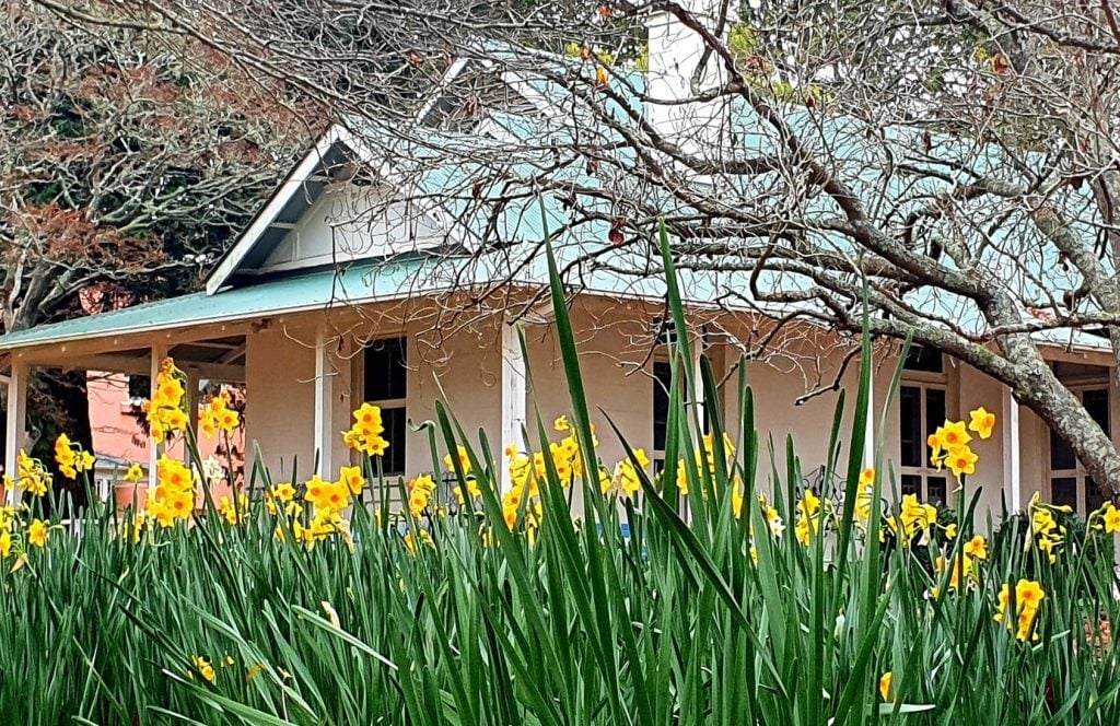 Cheerful yellow blooms at Retford Park. (Image supplied)