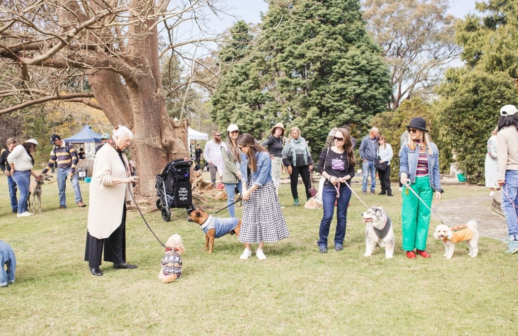International Dog Day at Norman Lindsay Gallery