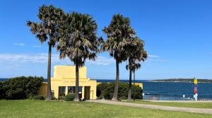 Palm trees outside a soft yellow Art Deco beach pavillion.