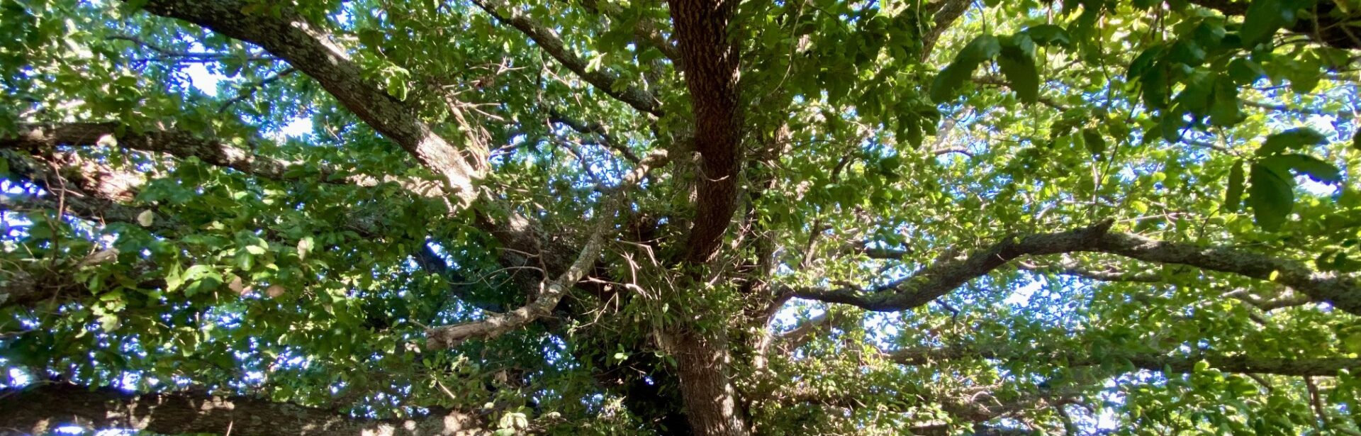 1920×615 TOTY 2025 Cover (1) banner image