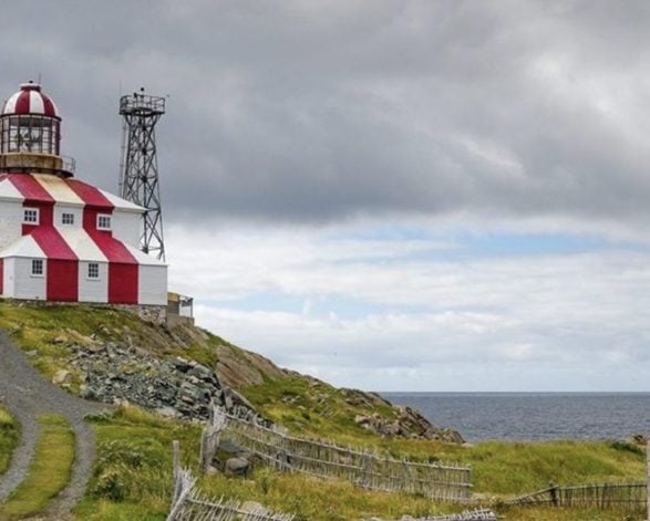 International Benefits