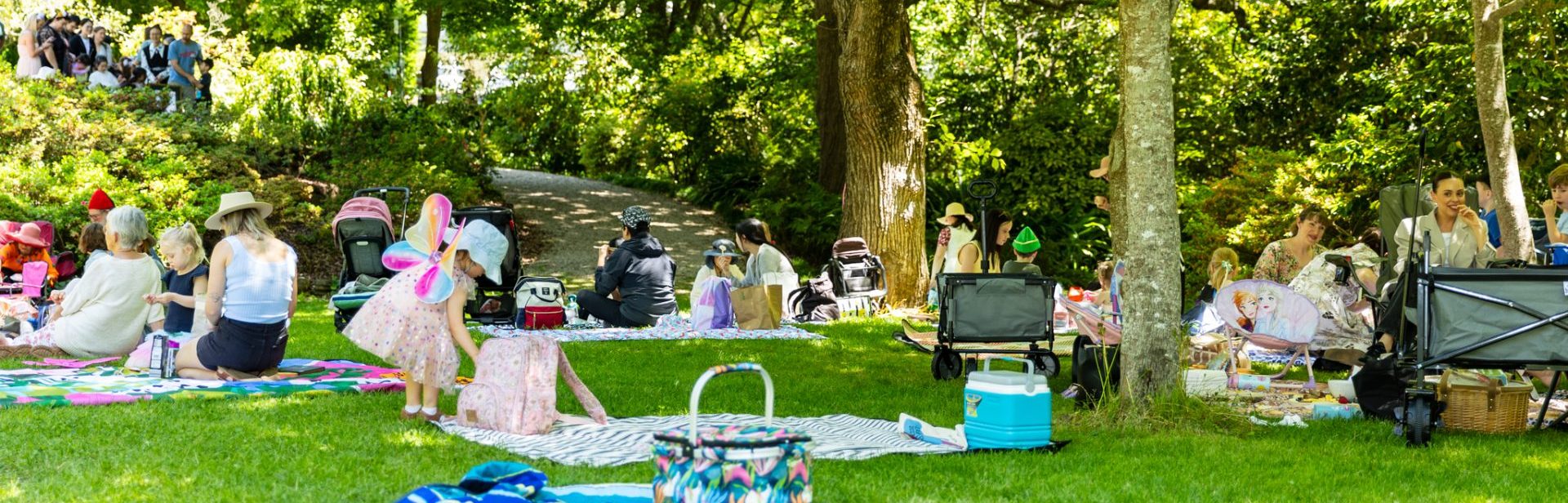 M88A7842 banner image