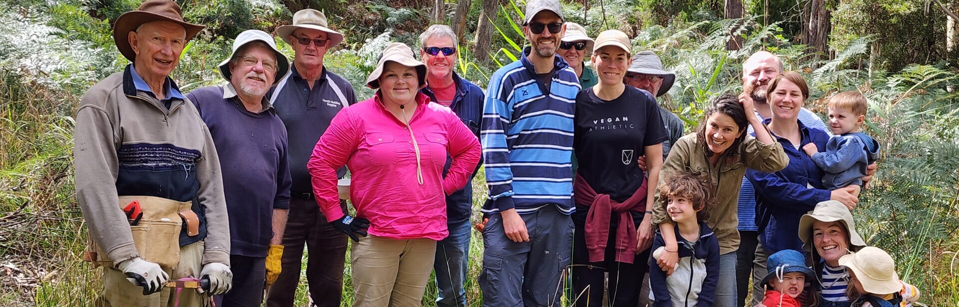 banner image