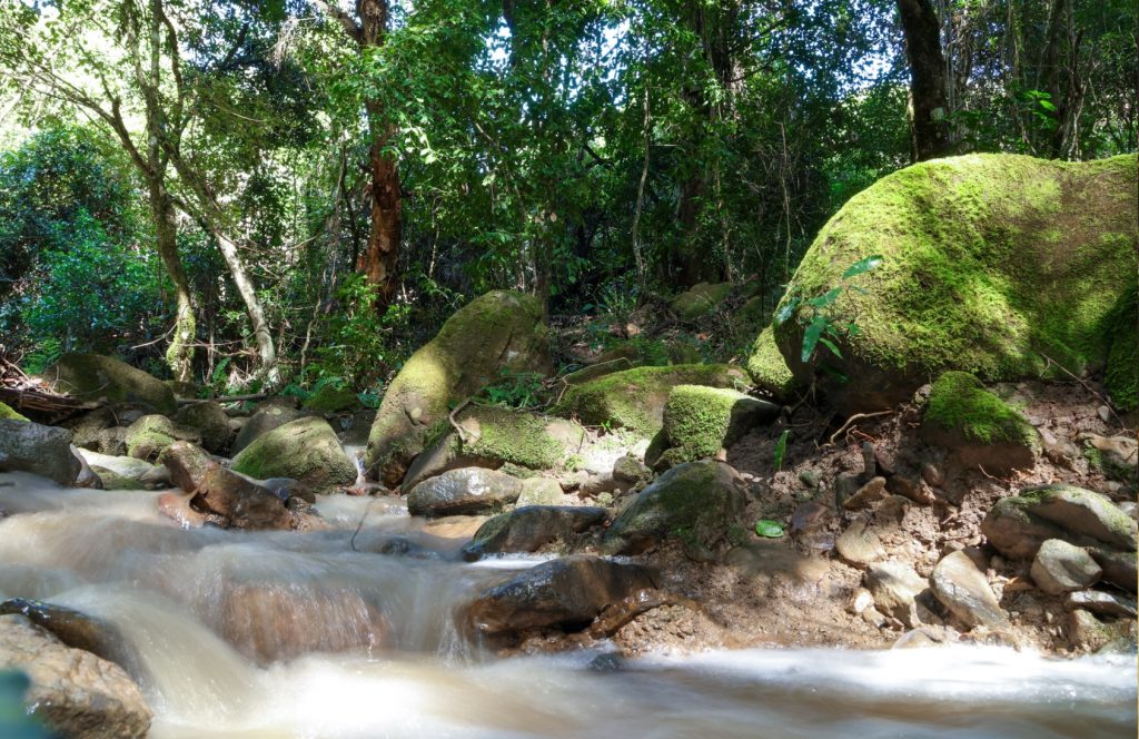 Water rushing through a deep gully.
