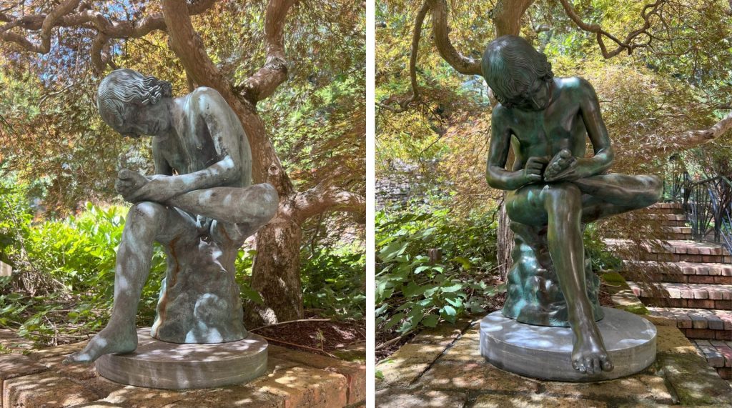 A classical bronze statue of a boy pulling a thorn from his foot has been cleaned and is shining once more.