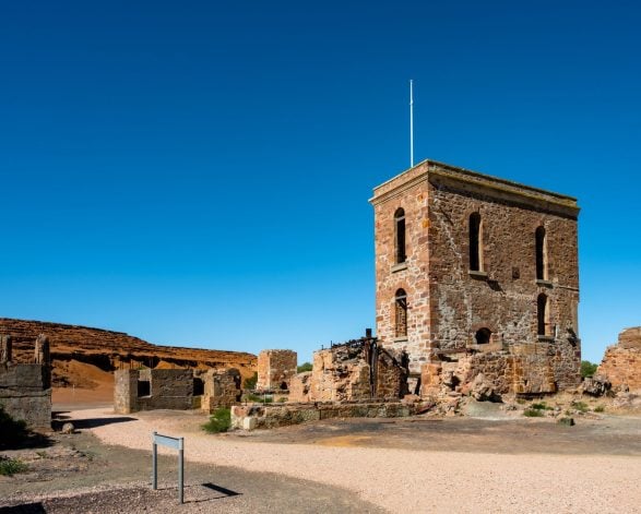 NTSA Annual Report 2024-25