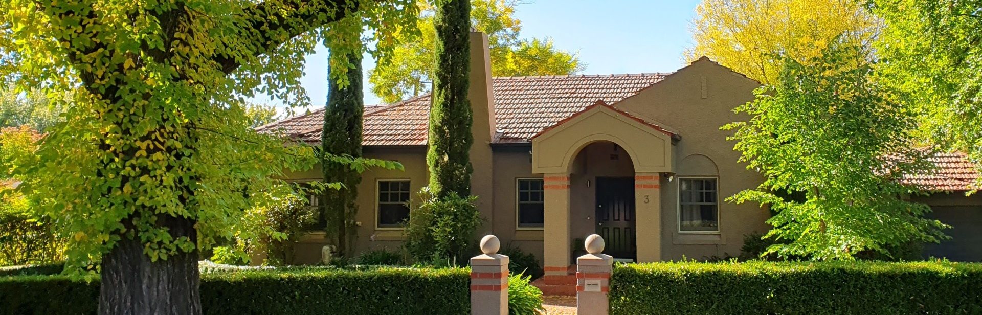 Blandfordia Banner 2 banner image