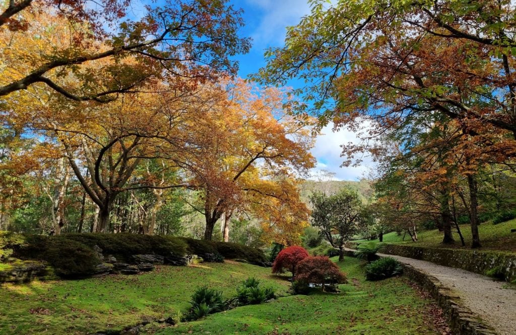 Gardens in autumn colours with a winding path.