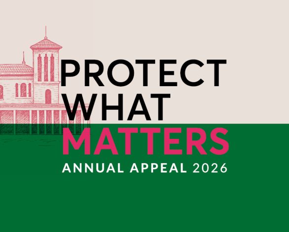 Protect What Matters