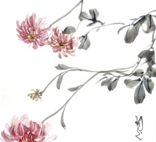 related image