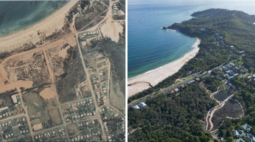 Before and after the restoration of the Sandhills Wetlands in Byron Bay.