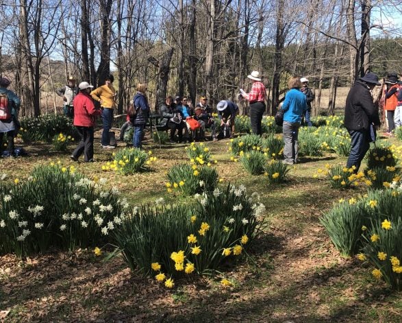 Heritage Walks