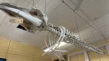 Maritime Collection Ceduna Museum image thumbnail