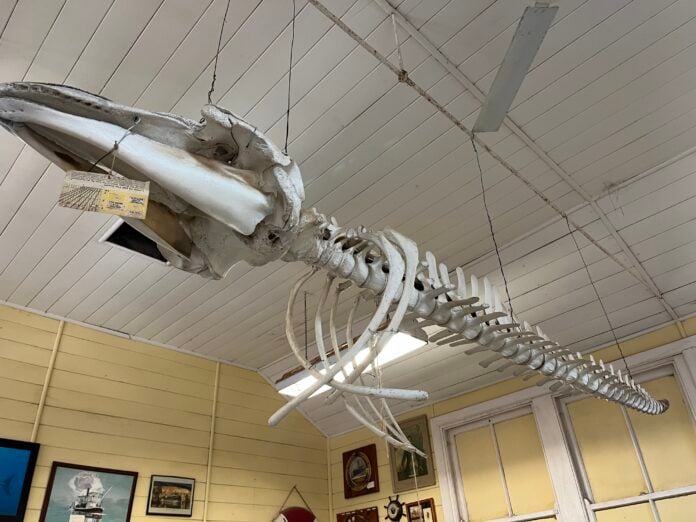 Maritime Collection Ceduna Museum gallery image