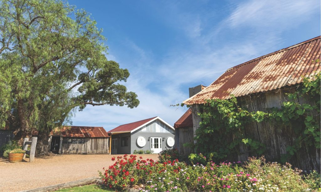 An old corrugated iron shed surrounded by flowering gardens and a mature tree.