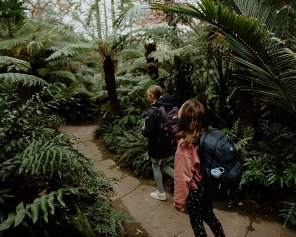 Great Southern Bioblitz